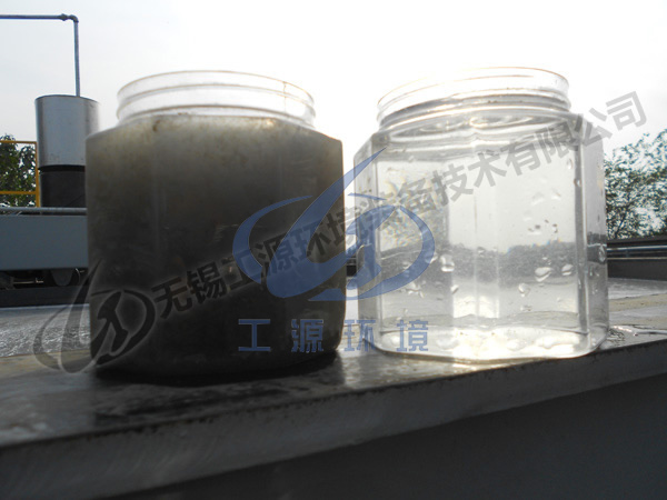 邢臺隆堯第二造紙廠進(jìn)出水效果對照